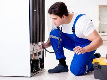 Refrigerator and fridge repair